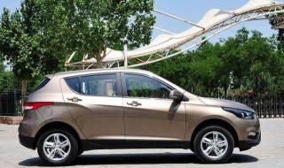 意大利经典带毛 意大利经典带毛